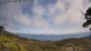 ./images/calvert/fitz-hugh-hecate/20250602/fitz-hugh-hecate20250602_125509M.jpg