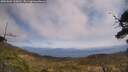 ./images/calvert/fitz-hugh-hecate/20250602/fitz-hugh-hecate20250602_130010M.jpg