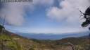 ./images/calvert/fitz-hugh-hecate/20250602/fitz-hugh-hecate20250602_131010M.jpg