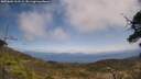 ./images/calvert/fitz-hugh-hecate/20250602/fitz-hugh-hecate20250602_132509M.jpg