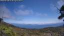 ./images/calvert/fitz-hugh-hecate/20250602/fitz-hugh-hecate20250602_135009M.jpg