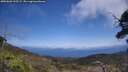 ./images/calvert/fitz-hugh-hecate/20250602/fitz-hugh-hecate20250602_135509M.jpg