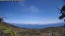 ./images/calvert/fitz-hugh-hecate/20250602/fitz-hugh-hecate20250602_141510M.jpg