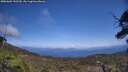 ./images/calvert/fitz-hugh-hecate/20250602/fitz-hugh-hecate20250602_142510M.jpg