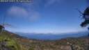 ./images/calvert/fitz-hugh-hecate/20250602/fitz-hugh-hecate20250602_143010M.jpg