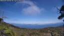 ./images/calvert/fitz-hugh-hecate/20250602/fitz-hugh-hecate20250602_143510M.jpg