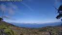 ./images/calvert/fitz-hugh-hecate/20250602/fitz-hugh-hecate20250602_144010M.jpg