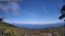 ./images/calvert/fitz-hugh-hecate/20250602/fitz-hugh-hecate20250602_144510M.jpg