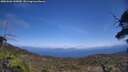 ./images/calvert/fitz-hugh-hecate/20250602/fitz-hugh-hecate20250602_145010M.jpg