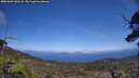 ./images/calvert/fitz-hugh-hecate/20250602/fitz-hugh-hecate20250602_145508M.jpg