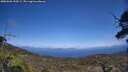./images/calvert/fitz-hugh-hecate/20250602/fitz-hugh-hecate20250602_150509M.jpg