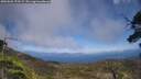./images/calvert/fitz-hugh-hecate/20250602/fitz-hugh-hecate20250602_153509M.jpg