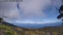 ./images/calvert/fitz-hugh-hecate/20250602/fitz-hugh-hecate20250602_154510M.jpg