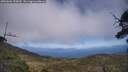./images/calvert/fitz-hugh-hecate/20250602/fitz-hugh-hecate20250602_155010M.jpg