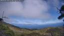 ./images/calvert/fitz-hugh-hecate/20250602/fitz-hugh-hecate20250602_155509M.jpg