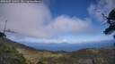 ./images/calvert/fitz-hugh-hecate/20250602/fitz-hugh-hecate20250602_160011M.jpg