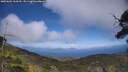 ./images/calvert/fitz-hugh-hecate/20250602/fitz-hugh-hecate20250602_160510M.jpg
