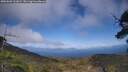 ./images/calvert/fitz-hugh-hecate/20250602/fitz-hugh-hecate20250602_161009M.jpg