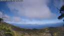 ./images/calvert/fitz-hugh-hecate/20250602/fitz-hugh-hecate20250602_161510M.jpg
