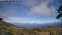 ./images/calvert/fitz-hugh-hecate/20250602/fitz-hugh-hecate20250602_163009M.jpg