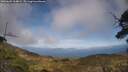 ./images/calvert/fitz-hugh-hecate/20250602/fitz-hugh-hecate20250602_164009M.jpg
