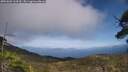 ./images/calvert/fitz-hugh-hecate/20250602/fitz-hugh-hecate20250602_164510M.jpg