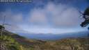 ./images/calvert/fitz-hugh-hecate/20250602/fitz-hugh-hecate20250602_165008M.jpg