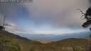 ./images/calvert/fitz-hugh-hecate/20250602/fitz-hugh-hecate20250602_170510M.jpg