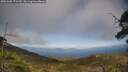 ./images/calvert/fitz-hugh-hecate/20250602/fitz-hugh-hecate20250602_171510M.jpg