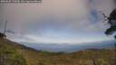 ./images/calvert/fitz-hugh-hecate/20250602/fitz-hugh-hecate20250602_172010M.jpg