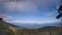 ./images/calvert/fitz-hugh-hecate/20250602/fitz-hugh-hecate20250602_173009M.jpg