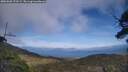 ./images/calvert/fitz-hugh-hecate/20250602/fitz-hugh-hecate20250602_173509M.jpg