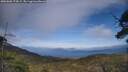./images/calvert/fitz-hugh-hecate/20250602/fitz-hugh-hecate20250602_174509M.jpg