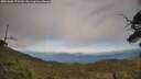 ./images/calvert/fitz-hugh-hecate/20250602/fitz-hugh-hecate20250602_175509M.jpg