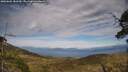 ./images/calvert/fitz-hugh-hecate/20250602/fitz-hugh-hecate20250602_181510M.jpg