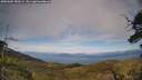 ./images/calvert/fitz-hugh-hecate/20250602/fitz-hugh-hecate20250602_182009M.jpg