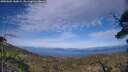 ./images/calvert/fitz-hugh-hecate/20250602/fitz-hugh-hecate20250602_183009M.jpg
