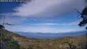./images/calvert/fitz-hugh-hecate/20250602/fitz-hugh-hecate20250602_184508M.jpg