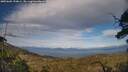 ./images/calvert/fitz-hugh-hecate/20250602/fitz-hugh-hecate20250602_190009M.jpg
