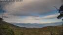 ./images/calvert/fitz-hugh-hecate/20250602/fitz-hugh-hecate20250602_191008M.jpg