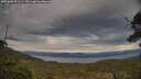 ./images/calvert/fitz-hugh-hecate/20250602/fitz-hugh-hecate20250602_201508M.jpg