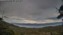 ./images/calvert/fitz-hugh-hecate/20250602/fitz-hugh-hecate20250602_203508M.jpg