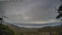 ./images/calvert/fitz-hugh-hecate/20250602/fitz-hugh-hecate20250602_204508M.jpg