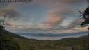 ./images/calvert/fitz-hugh-hecate/20250602/fitz-hugh-hecate20250602_211507M.jpg