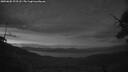 ./images/calvert/fitz-hugh-hecate/20250602/fitz-hugh-hecate20250602_223507M.jpg