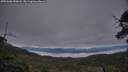 ./images/calvert/fitz-hugh-hecate/20250603/fitz-hugh-hecate20250603_050008M.jpg