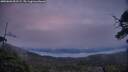 ./images/calvert/fitz-hugh-hecate/20250603/fitz-hugh-hecate20250603_051509M.jpg