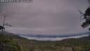 ./images/calvert/fitz-hugh-hecate/20250603/fitz-hugh-hecate20250603_052506M.jpg