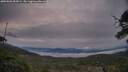 ./images/calvert/fitz-hugh-hecate/20250603/fitz-hugh-hecate20250603_053008M.jpg