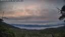 ./images/calvert/fitz-hugh-hecate/20250603/fitz-hugh-hecate20250603_053508M.jpg